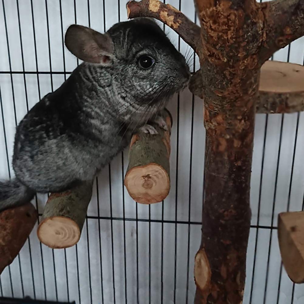 QBLEEV 3 Pack Natural Wood Chew Toys for Hamsters, Chinchillas, Guinea Pigs, Rats, Squirrels & Rabbits - Small Animal Teeth Care & Cage Accessories - Safe Wooden Chew Sticks & Perch Platform for Birds, Parrots & Bunnies - Perfect for Cage Enrichment & Dental Health