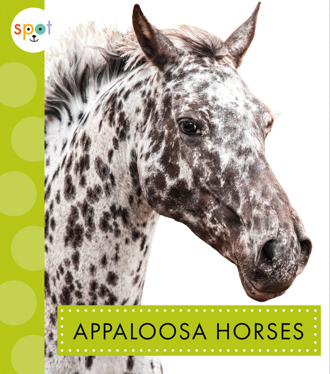 Appaloosa Horses for Sale - Beautiful Spotted Coat Patterns | Perfect for Trail Riding, Shows & Ranch Work
