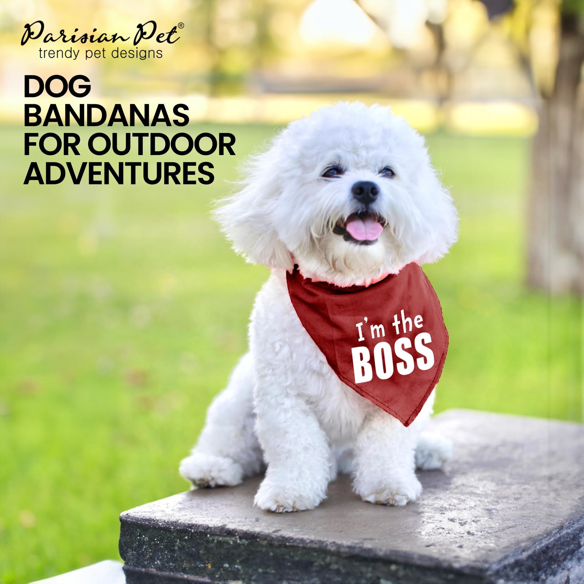Premium Unisex Dog Bandanas - Adjustable 'I'm The Boss' Printed Pet Scarf for Small Dogs | Washable Triangle Dog Bib & Stylish Red Pet Handkerchief | Perfect for Daily Walks, Pet Parties & Photo Shoots