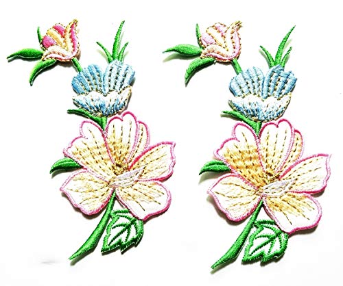 Pink Summer flowers