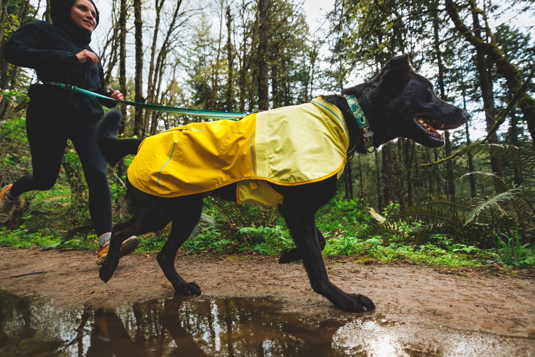 Ruffwear Front Range® Dog Collar with Mountains Logo - Durable & Adjustable for Hiking, Camping & Outdoor Adventures