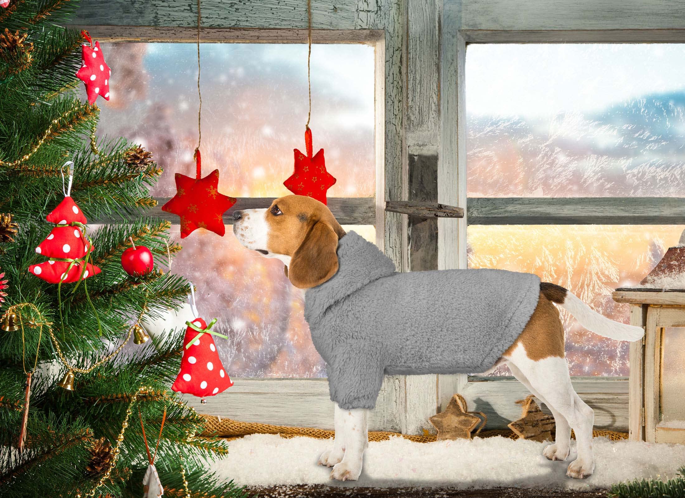 Warm Soft Cozy Fleece Hooded Dog Sweater for Large Dogs - Grey Size L | Perfect for Winter Walks & Indoor Comfort