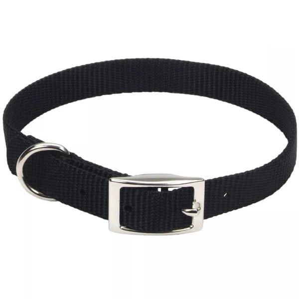 Premium Coastal Single Ply Dog Collar - Durable & Comfortable Pet Collar for Small to Medium Dogs - Perfect for Beach Walks & Outdoor Adventures
