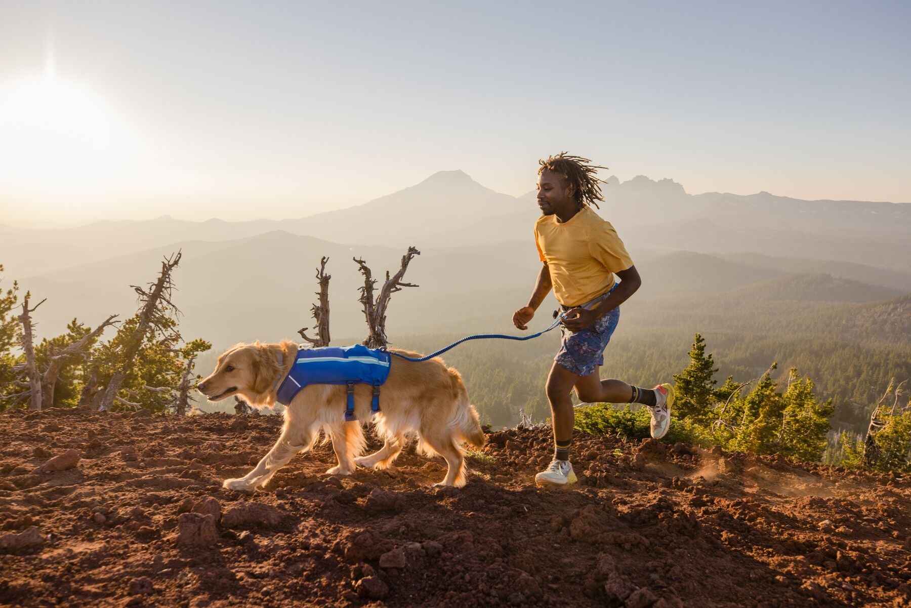 Ruffwear Dog Running Vest - Trail Runner Reflective Dog Vest for Hiking & Outdoor Adventures, Blue Pool - Perfect for Active Dogs & Pet Owners
