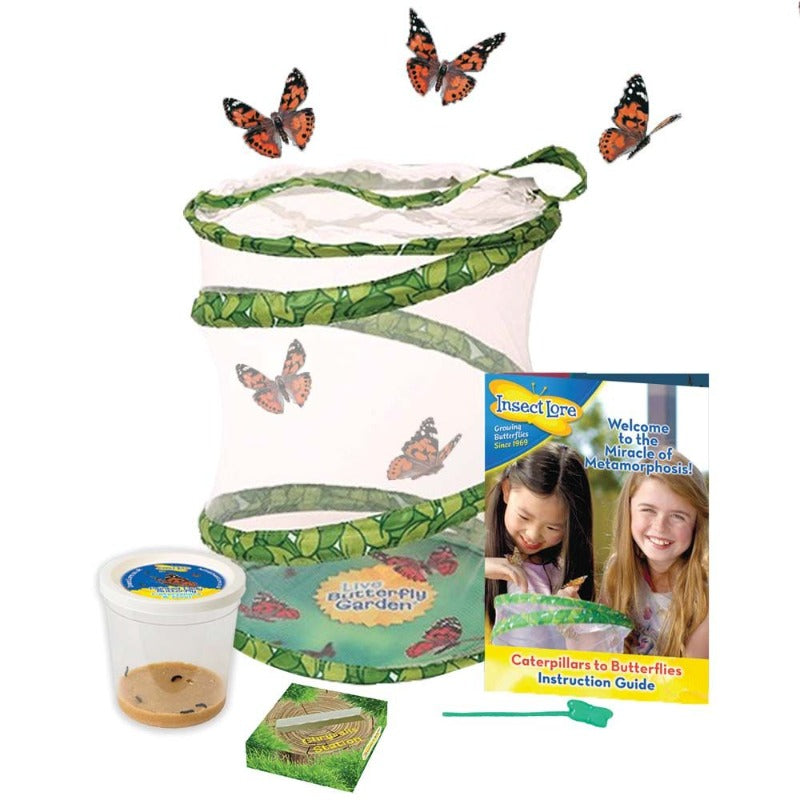 Live Butterfly Garden Kit with Free Butterfly Voucher - Grow Your Own Butterfly Habitat at Home for Kids & Nature Lovers