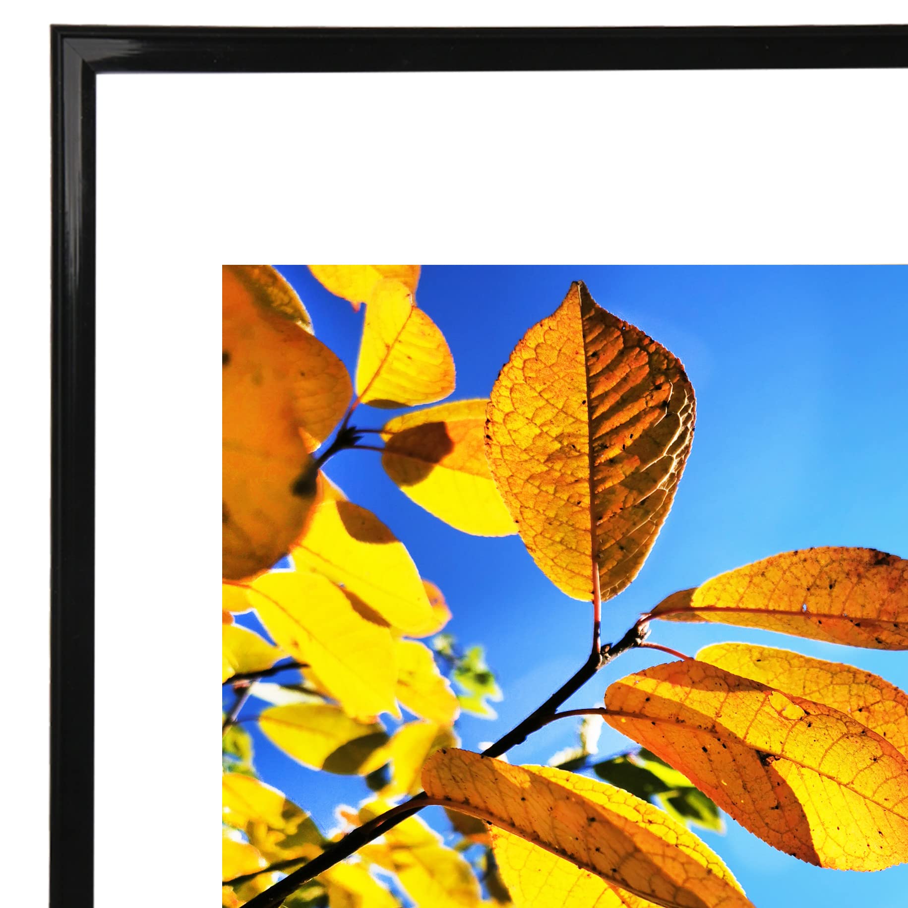 Aynoo 12x16 Picture Frame Black - 3 Pack | Display Photos, Certificates & Diplomas (8.5x11) | Perfect for Home, Office & Graduation Decor