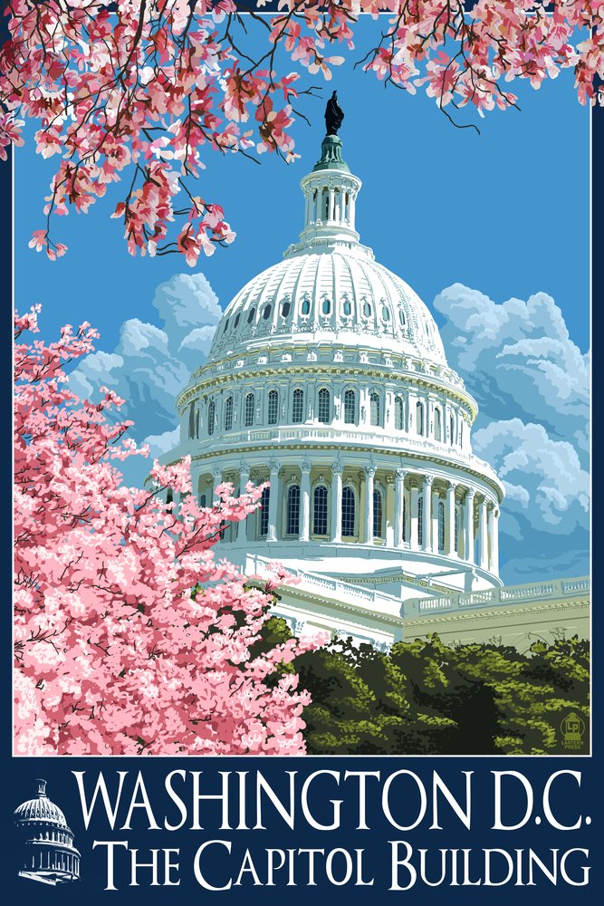 Washington DC Capitol Building & Cherry Blossoms 34138 - 24x36 Signed Art Print, Framed Wall Decor Poster for Living Room, Office & Home Decoration
