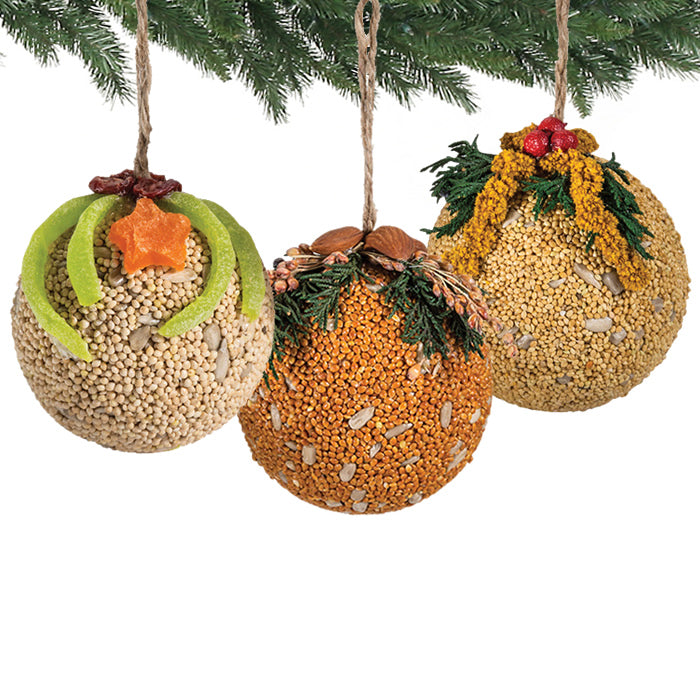 Organic Fruit & Nut Seed Balls - Healthy Vegan Snack Pack (3-Piece Set) | Gluten-Free Energy Bites for Hiking, Office & Kids Lunch Box