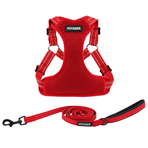 Harness Leash Set (Red)