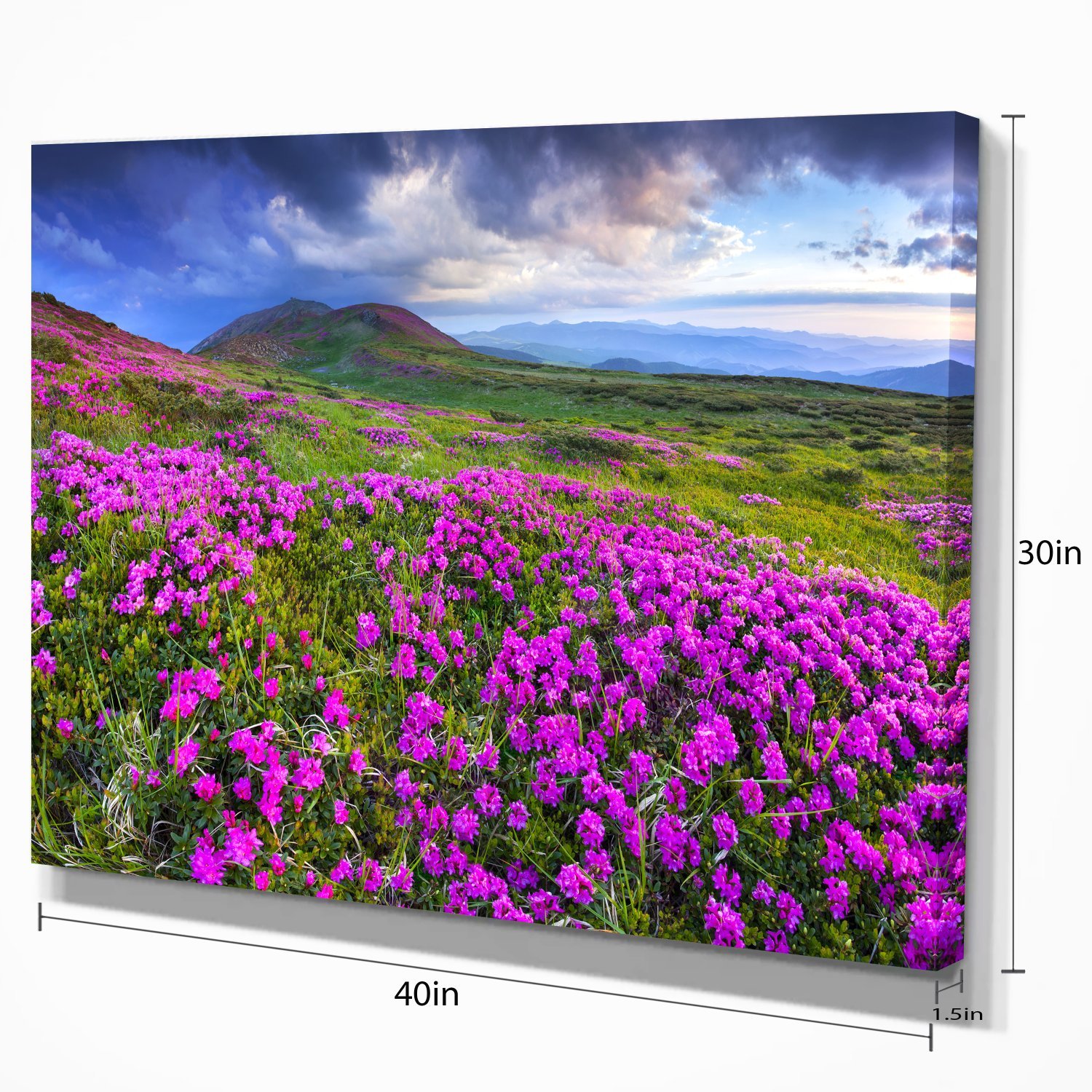 Rhododendron Flowers in Mountain Landscape - Stunning Nature Photography Canvas Print for Home & Office Wall Decor