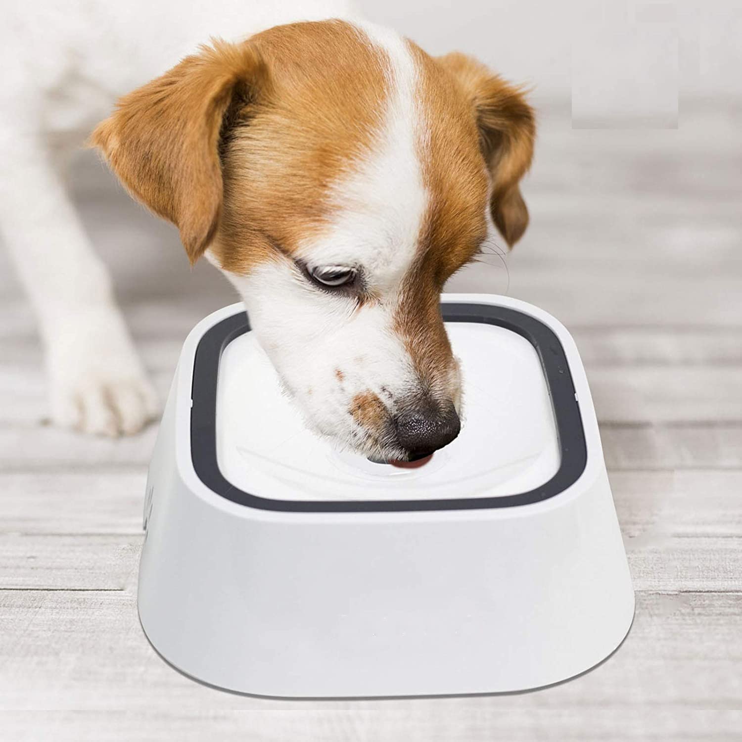 DRIZA No Spill Travel Pet Water Bowl - 1.5L Slow Feeder Dog & Cat Drinking Bowl - Leak Proof Portable Water Dispenser for Hiking, Camping & Car Rides