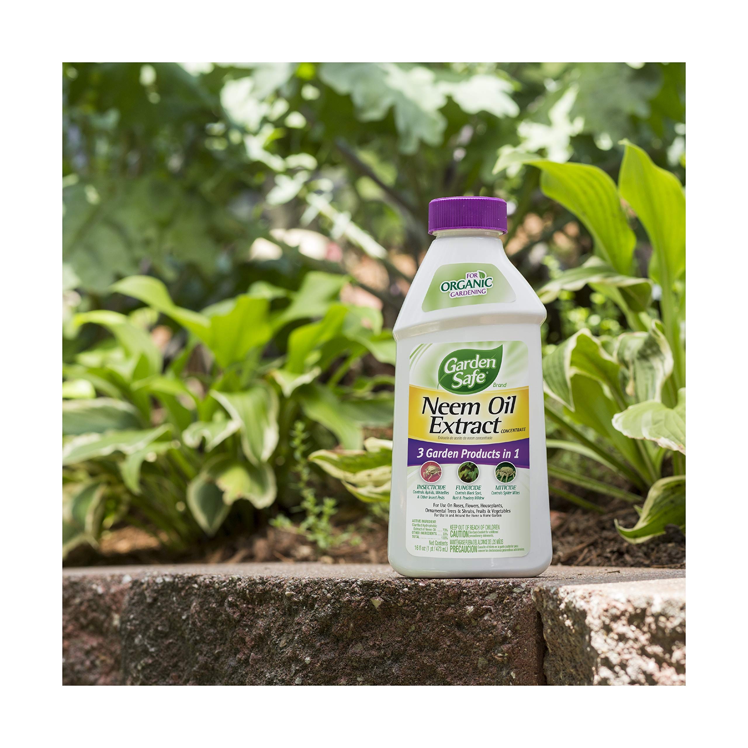 Organic Neem Oil Extract Concentrate for Plants - 16 fl Ounce (6 Pack) - Natural Fungicide, Insecticide & Miticide for Organic Gardening - Ideal for Indoor & Outdoor Plant Care
