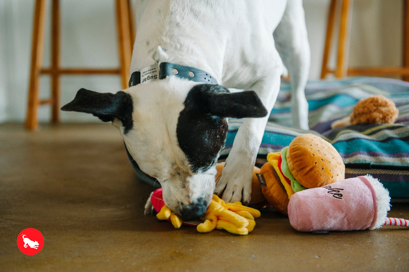 American Classic® Dog Plush Toy - La Malteada Chew-Resistant Stuffed Animal for Dogs | Pet P.L.A.Y. | Perfect for Playtime, Cuddling & Training
