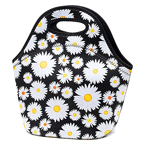 White daisy