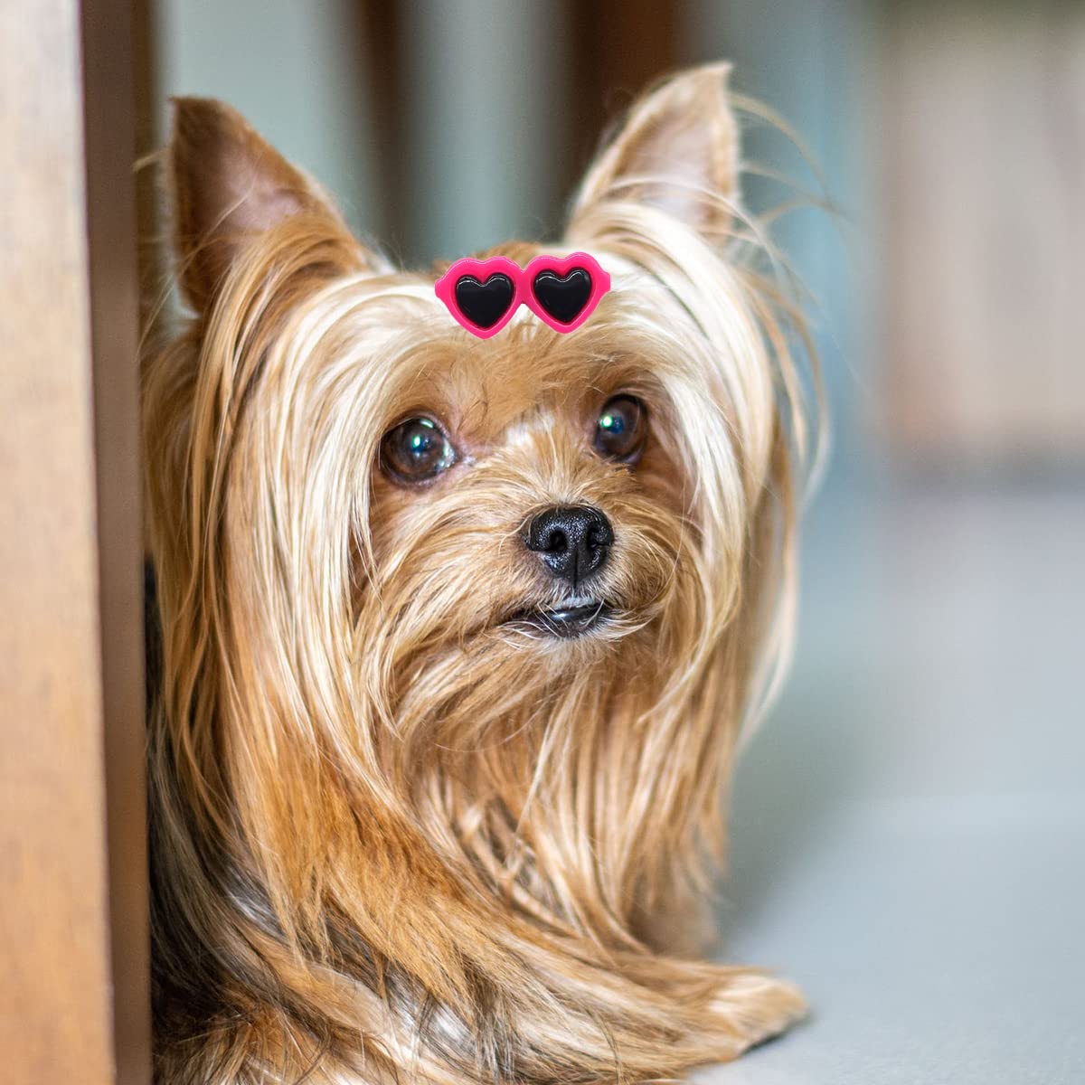 20Pcs Cute Dog Hair Bows with Clips - Pet Grooming Accessories for Dogs & Cats - Party & Photo Shoots