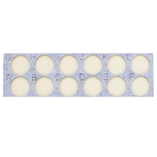 2x6 Trays