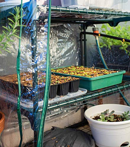 4-Tier Walk-In Greenhouse for Plants & Seedlings - Durable Outdoor Garden Greenhouse with Cover - Perfect for Backyard, Patio, and Indoor Gardening