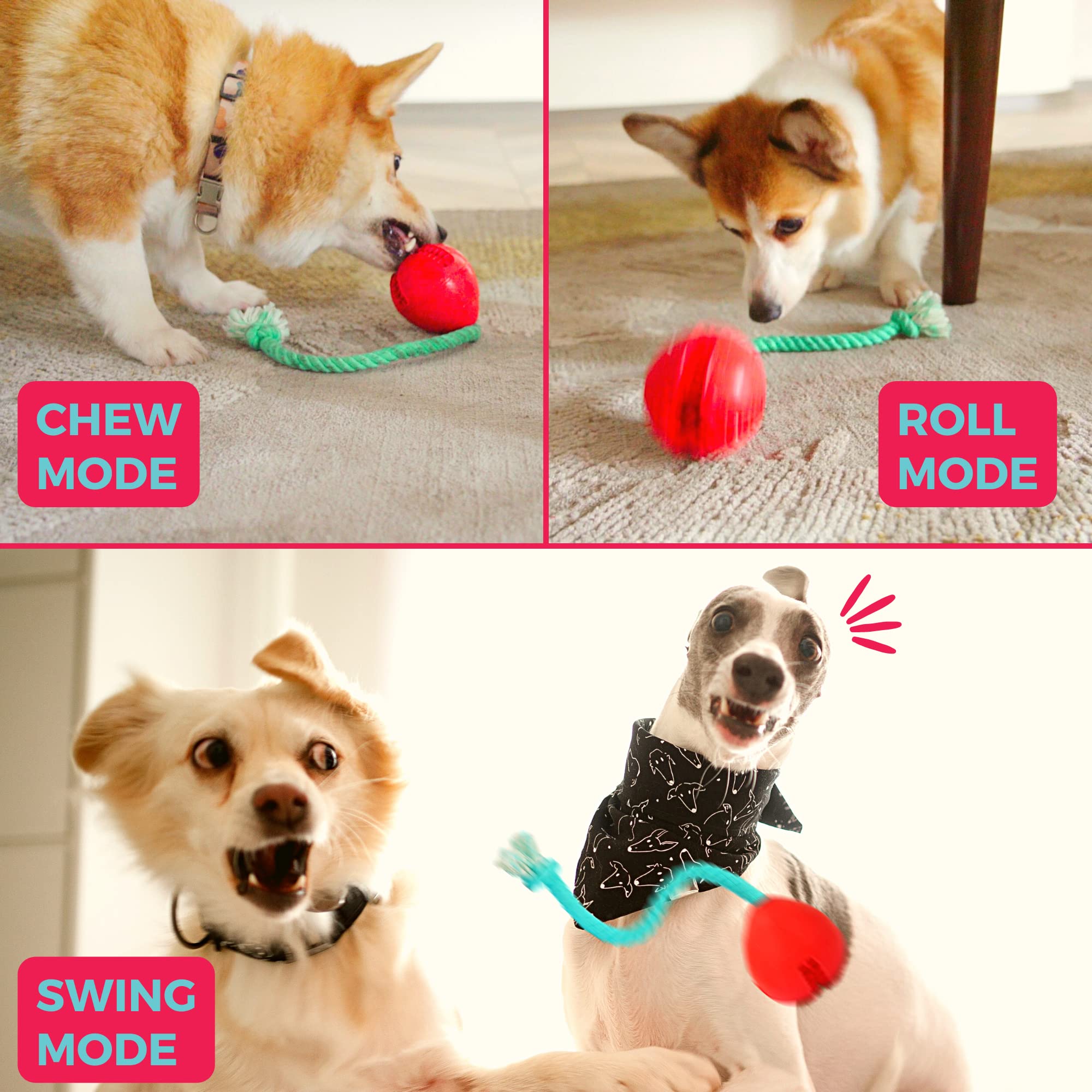 Fossa Interactive Dog Toys for Puppies – Crate Training Aid, Puzzle Treat Dispenser with Rope – Multifunctional Chew Toy for Anxiety Relief, Teeth Cleaning & Boredom Reduction – Perfect for Indoor Play, Training & Mental Stimulation