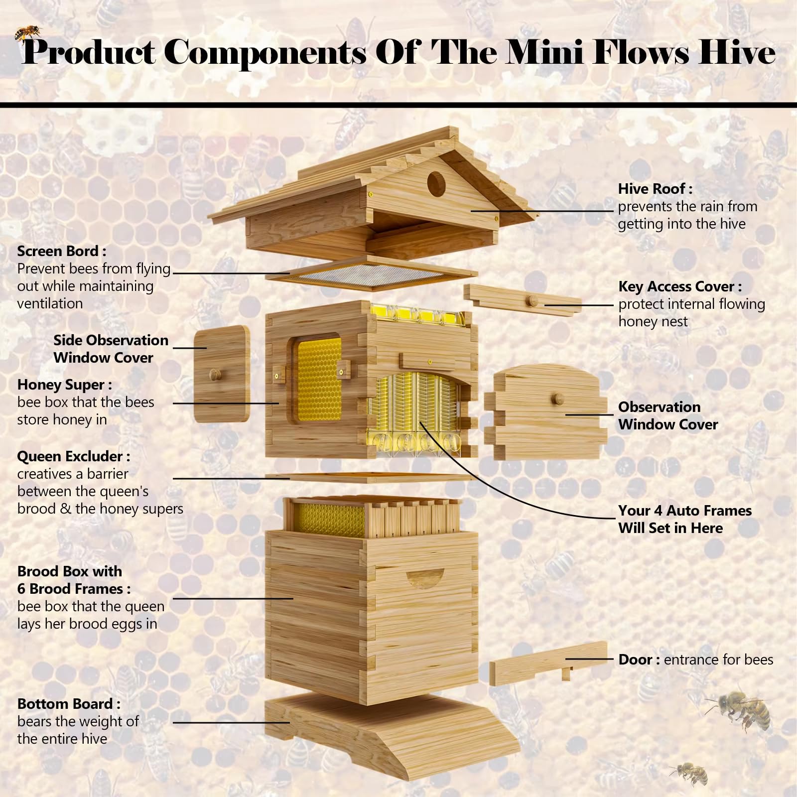 4Pcs Honey Bee Hive Starter Kit with Frames - For Beekeeping Beginners