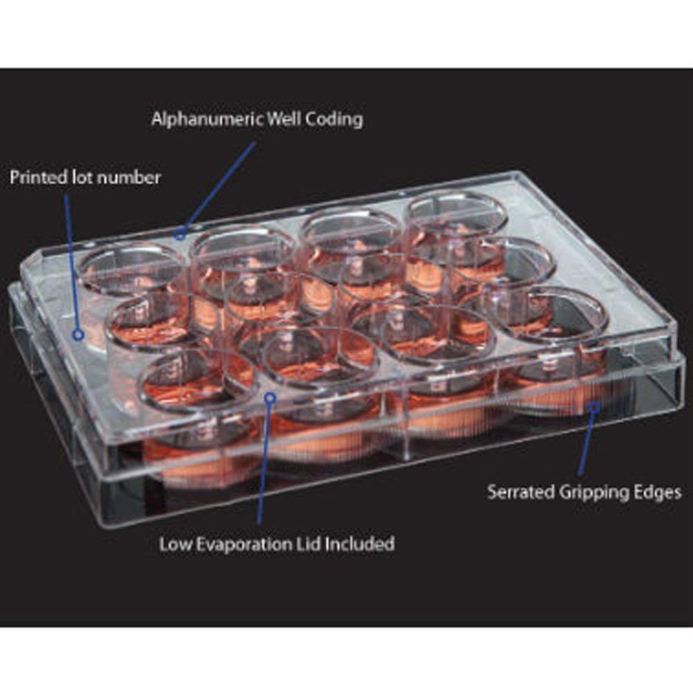 12-Well Non-Treated Cell Culture Plates, Sterile Tissue Culture Plates, Individually Wrapped (100 Count) - Perfect for Lab Research, Cell Growth Studies & Biomedical Experiments