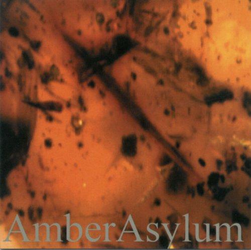 Amber Asylum Frozen in Amber - Natural Baltic Amber Jewelry for Healing & Pain Relief - Perfect for Meditation, Stress Relief & Spiritual Wellness