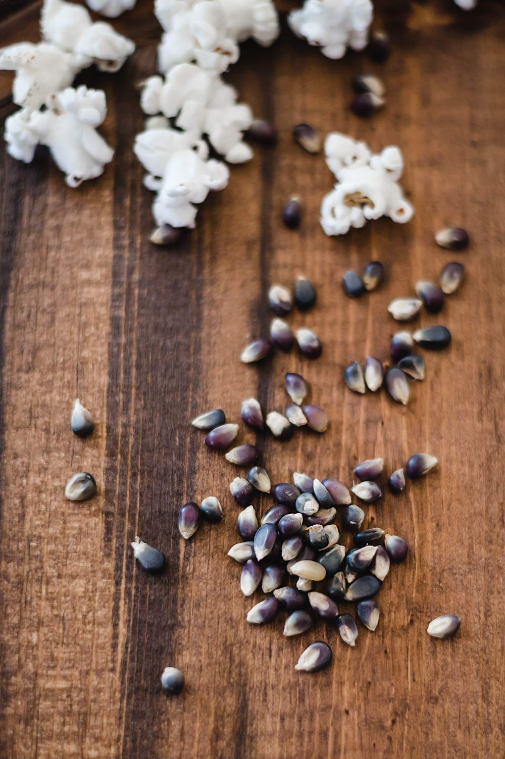 Amish Country Popcorn Kernels - 25 lb Bulk Bag of Midnight Blue Non-GMO Gluten-Free Heirloom Popcorn - Perfect for Movie Nights, Snack Bars & Healthy Family Treats