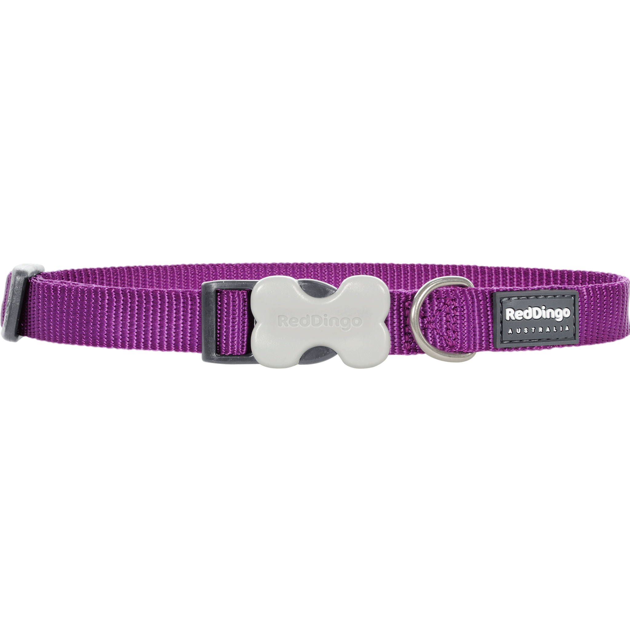 Red Dingo Purple Bucklebone Classic Dog Collar - Durable Nylon Pet Collar with Metal Buckle for Small Medium Large Dogs - Perfect for Walking, Training & Outdoor Adventures