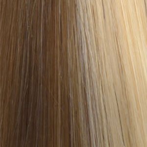 Med Ash Blonde/Light Ash Blonde D18/22
