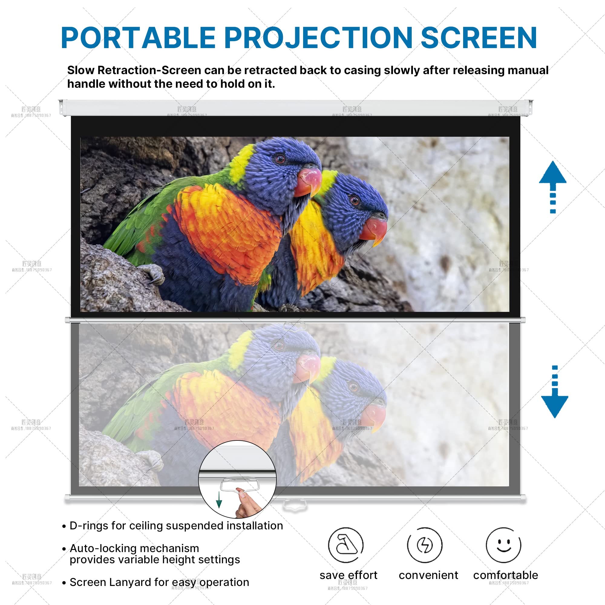 ProHT 84-Inch Manual Pull Down Projector Screen - 16:9 Aspect Ratio Matte White Projection Screen for Home Theater, Presentations & Movies | Perfect for HDTV, Sports, Office Meetings & Classroom Use