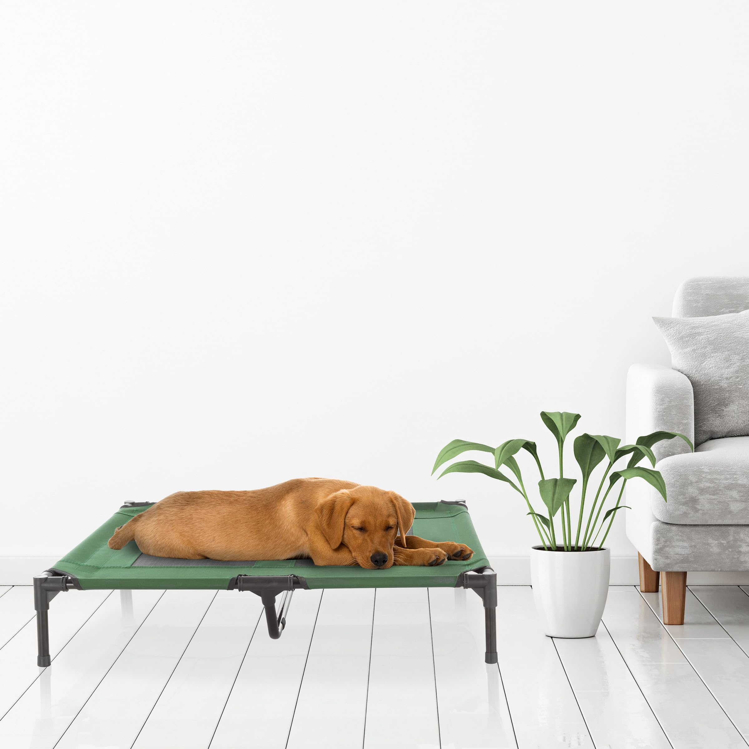 Premium Elevated Dog Bed - 36x29.75 Inch Portable Pet Cot with Non-Slip Feet & Breathable Mesh - Indoor/Outdoor Cooling Bed for Medium/Large Dogs Up to 80lbs by Petmaker (Green) - Perfect for Camping, Patio & Hot Weather Use