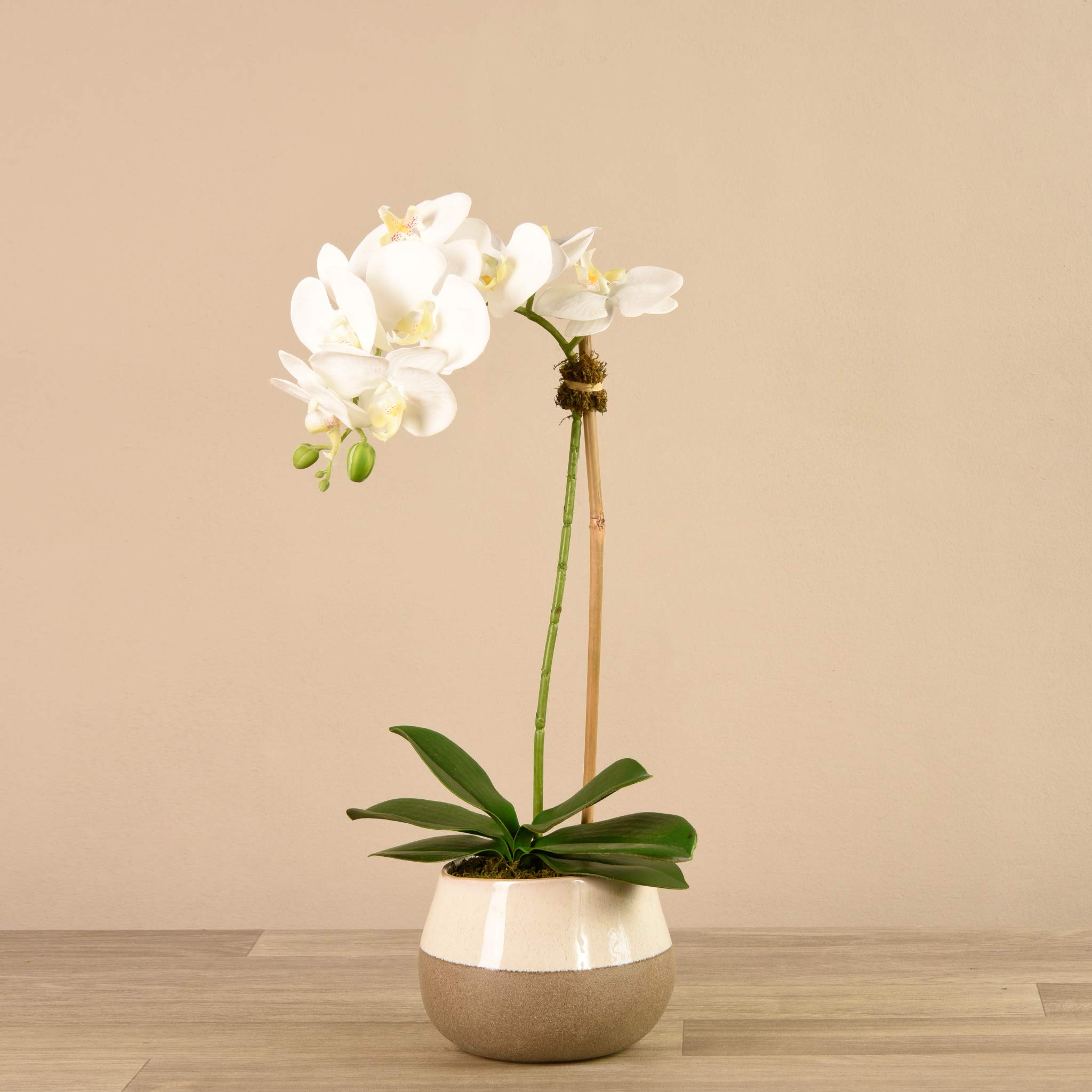 Luxury Silk Artificial Orchid Arrangement - 21