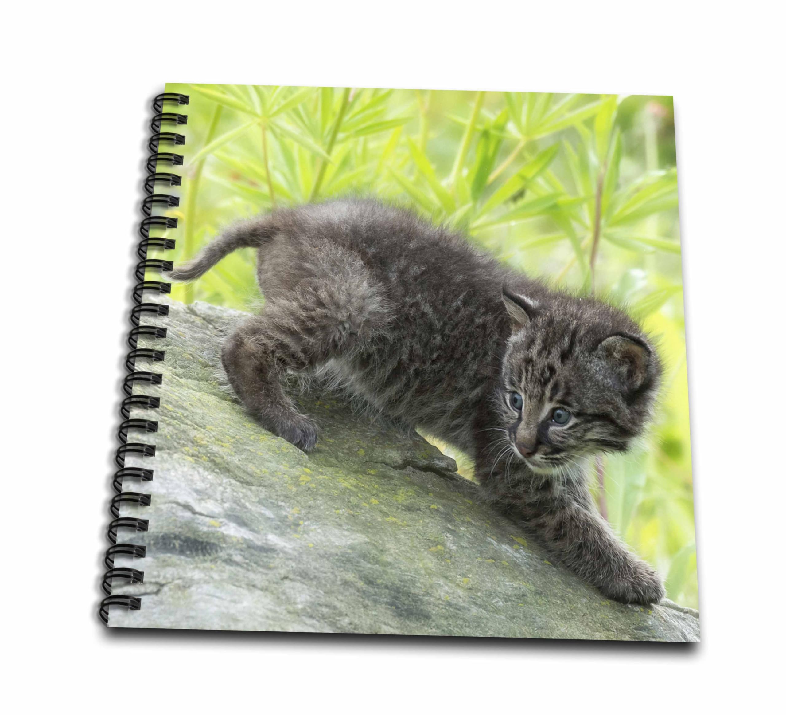 3D Rose USA Drawing Book - Premium Sketchbook for Artists, Students & Professionals | Perfect for Sketching, Doodling & Art Projects | Ideal Gift for Creative Minds