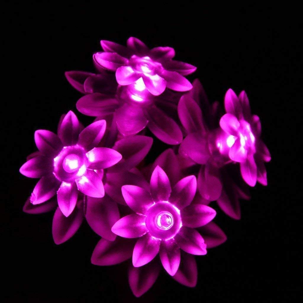 Solar Powered LED Lotus Flower String Lights - 21ft 50 LED Waterproof Outdoor Fairy Lights for Garden, Patio, Wedding & Christmas Decor (Pink) | Perfect for Backyard Parties, Holiday Lighting & Romantic Ambiance