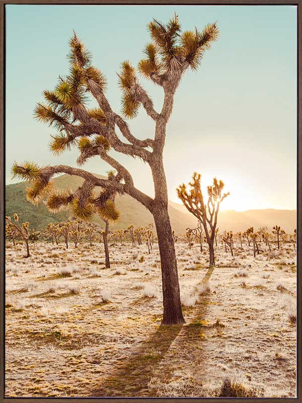 Premium Cadiz Valley Canvas Art Print - Stunning Landscape Wall Decor for Living Room, Bedroom & Office