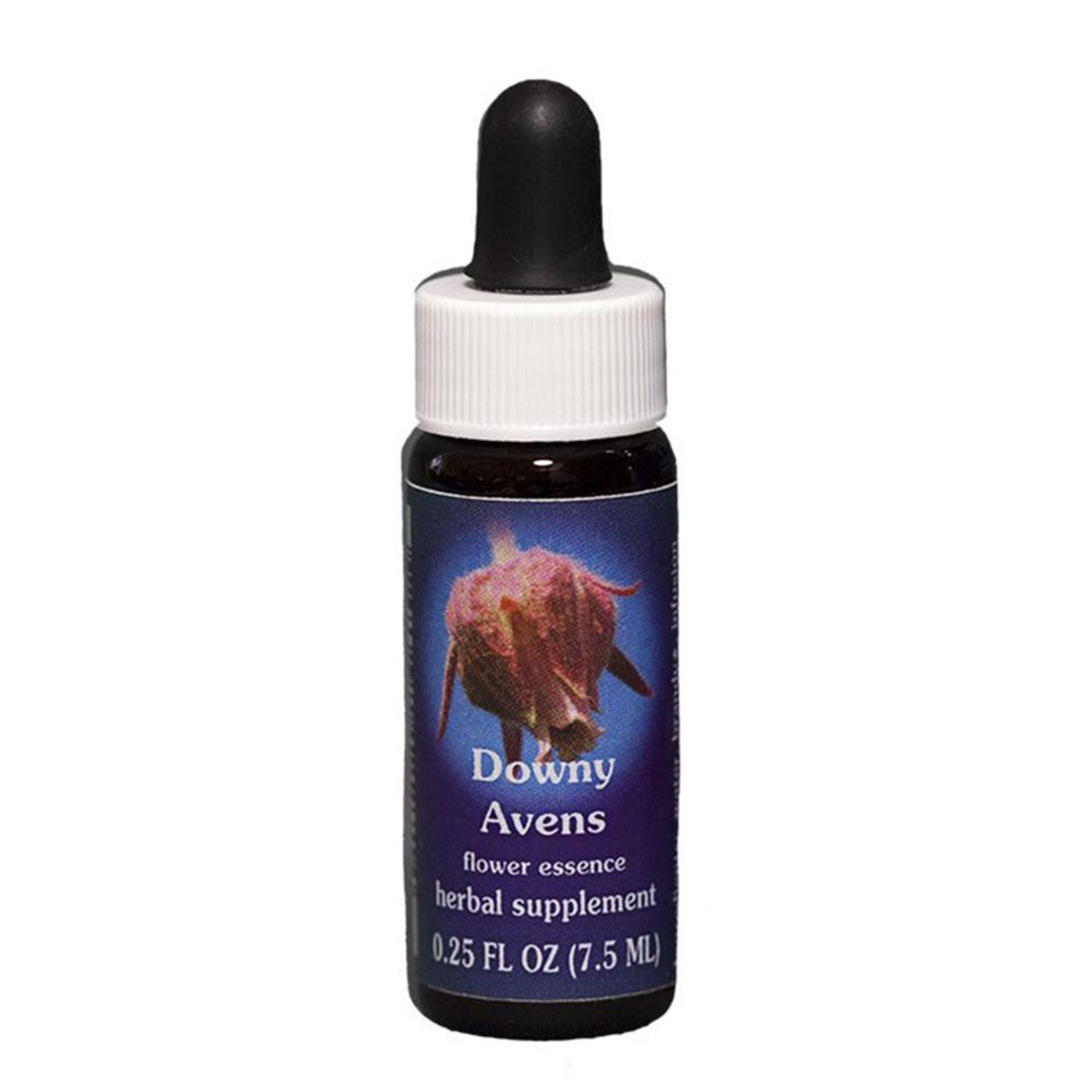 FES Research Quintessentials 7.5ml Essential Oil - Downy Avens (Geum rivale) for Aromatherapy, Relaxation & Natural Healing | Perfect for Diffusers, Massage & DIY Skincare