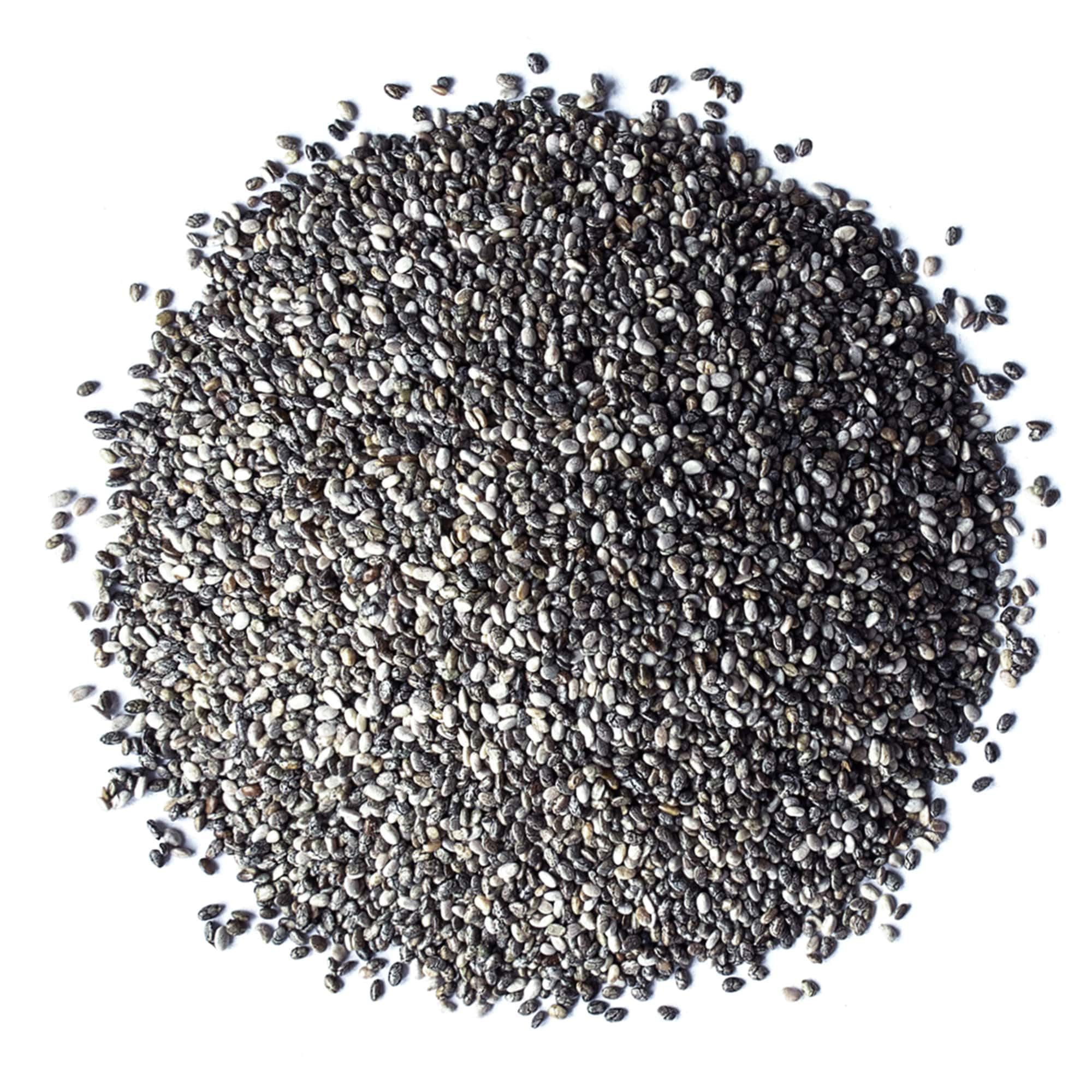 Food to Live - Organic Black Chia Seeds, 20 Pounds Bulk - Whole, Sproutable, Vegan, Kosher, Keto, Paleo, Sirtfood Diet Friendly - High in Omega-3, Fiber & Protein - Perfect for Chia Pudding, Smoothies, Oatmeal, Baking & Weight Loss Recipes