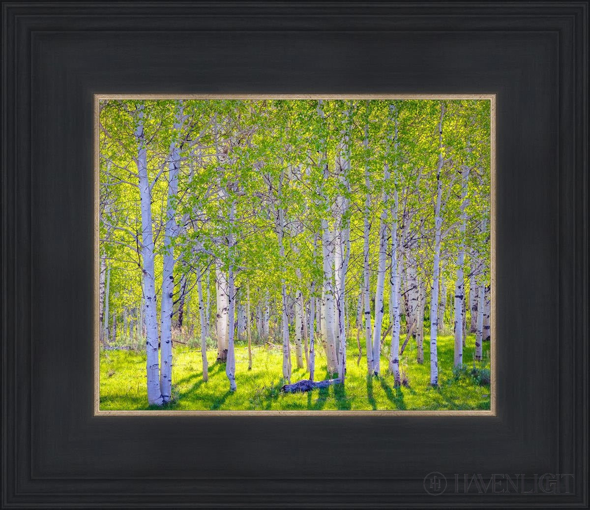 Stunning Early Morning Light in Wasatch Backcountry - Perfect for Landscape Photography & Outdoor Adventures
