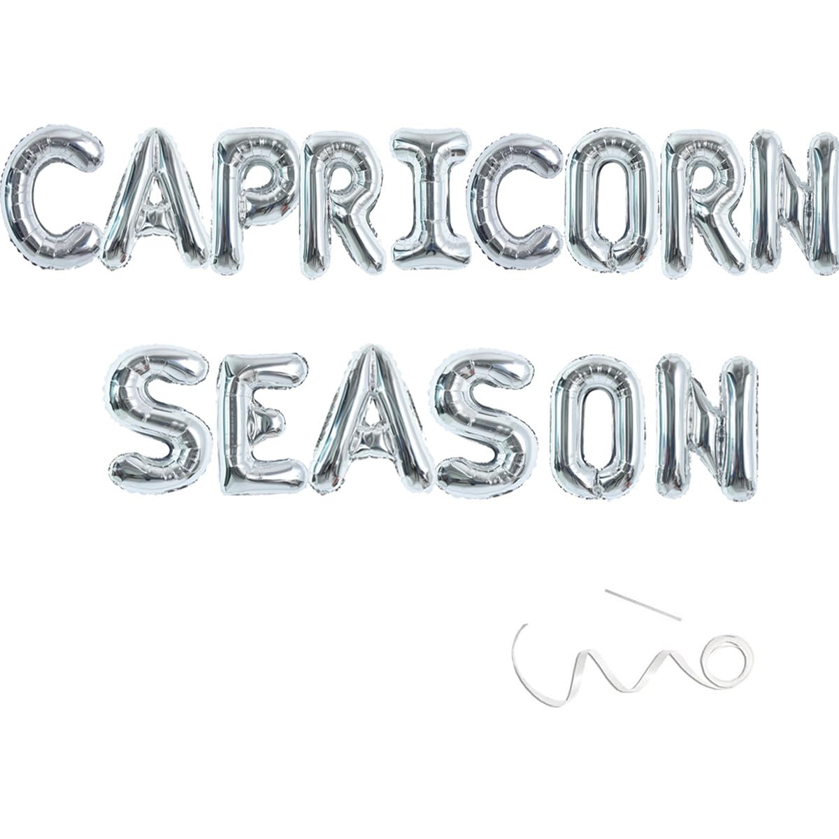 Capricorn Birthday Decorations - 16 Inch Silver Zodiac Banner for December & January Horoscope Parties | Perfect for Astrology-Themed Celebrations, Home Decor, and Social Media Backdrops