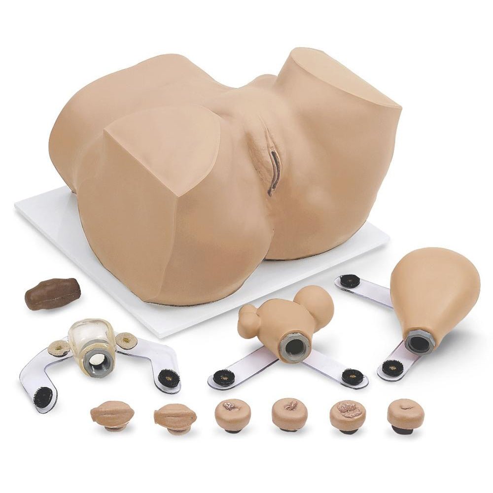 EVA Gynecological Training Manikin - High-Quality Medical Simulation Model for OB/GYN Practice, Exams & Clinical Skills Development | Perfect for Medical Students, Nurses & Healthcare Professionals