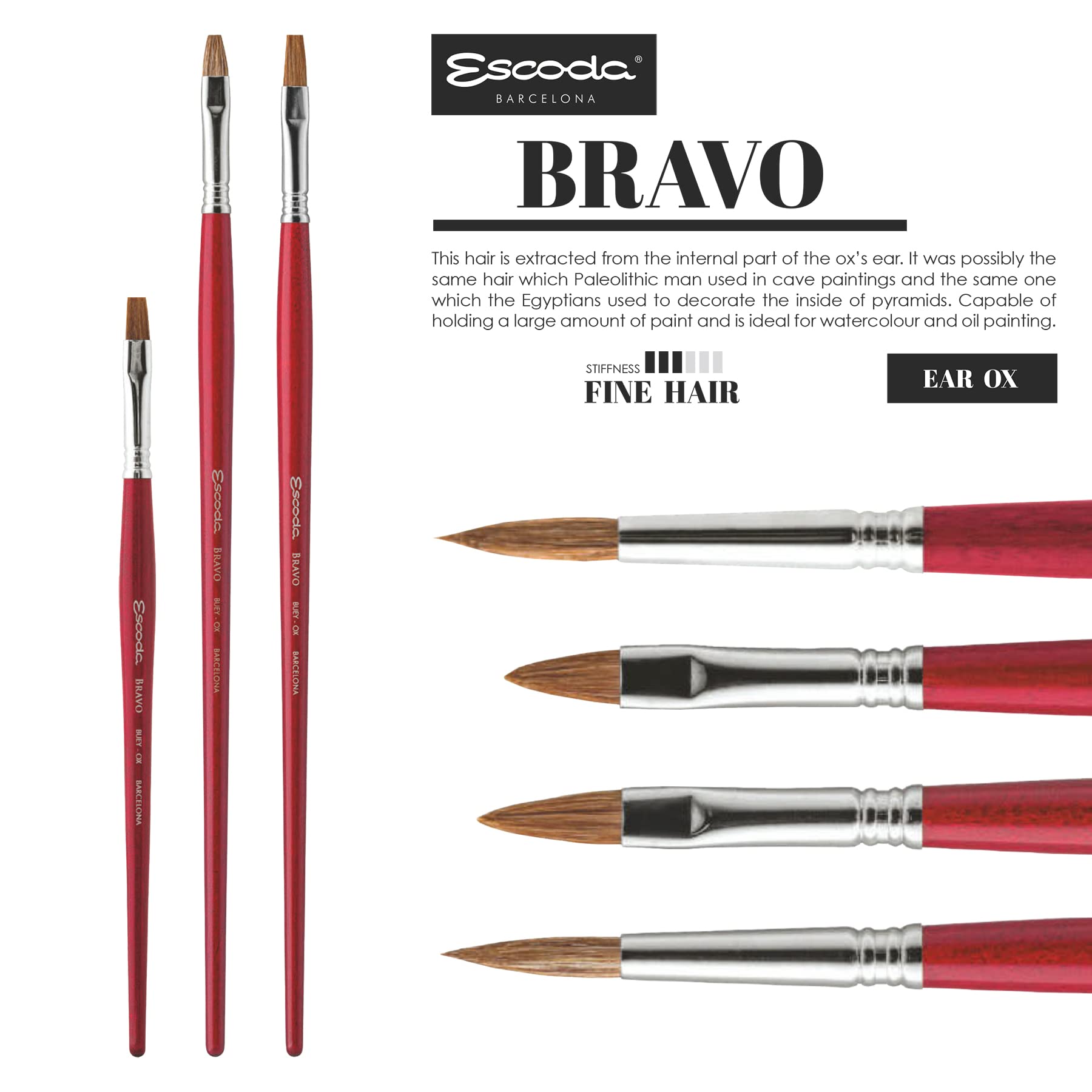 Escoda Bravo Series 3217 Professional Artist Paint Brush - Size 24 Filbert for Oil & Acrylic Painting - Premium Light Ox Hair Bristles - Perfect for Canvas, Portraits & Fine Art Details