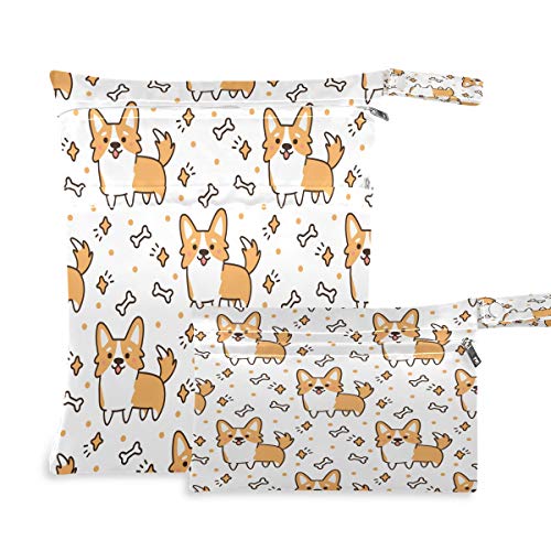 Cute Welsh Corgi