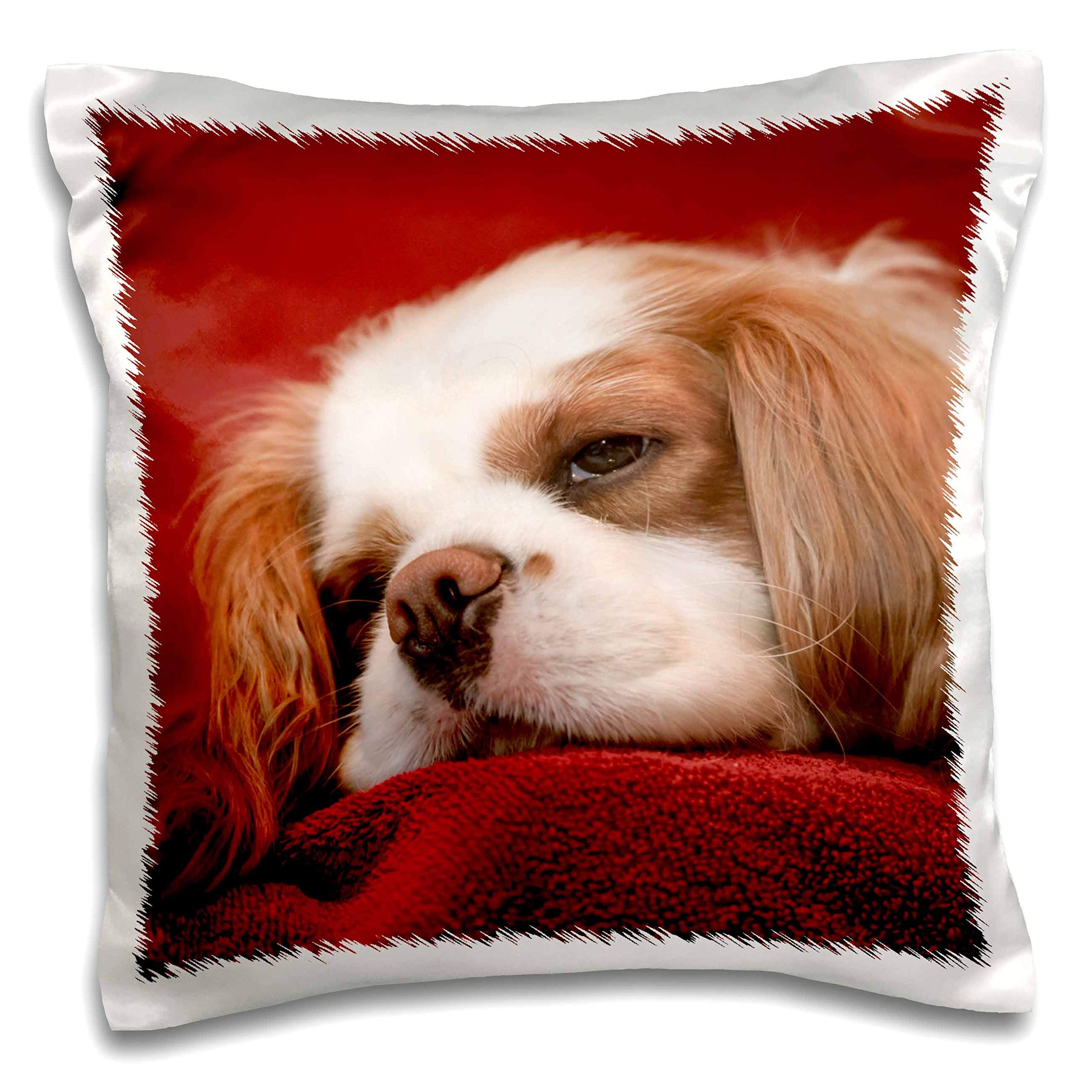 3D Printed Pillow Case - Cavalier King Charles Spaniel Sleeping on Towel-Covered Sofa - White Home Decor for Living Room, Bedroom - Cute Dog Lover Gift Idea - Perfect for Pet Owners & Animal Enthusiasts