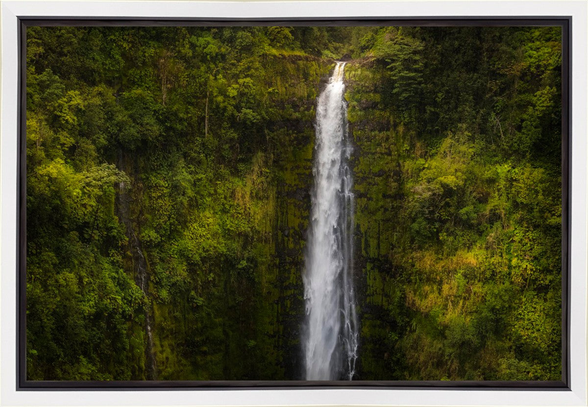 Stunning Akaka Falls Hawaii Landscape Canvas Print - Premium Gallery Wrap Wall Art for Home & Office Decor - Perfect for Living Room, Bedroom, or Office Spaces