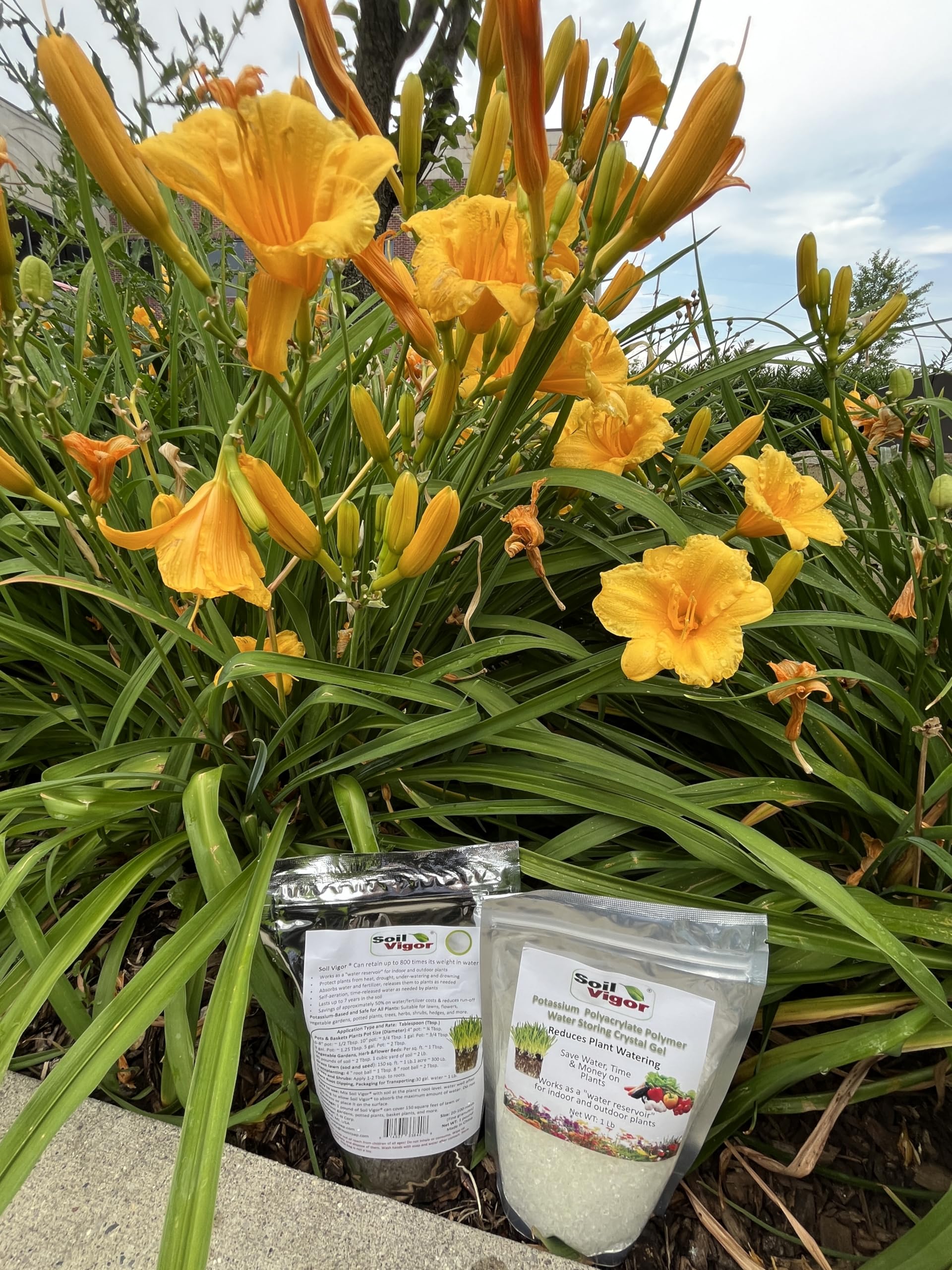 Premium Water Storing Crystal Soil Additive - Commercial Grade Hydroponic Growing Medium for Plants | Ideal for Indoor Gardening, Terrariums & Floral Arrangements