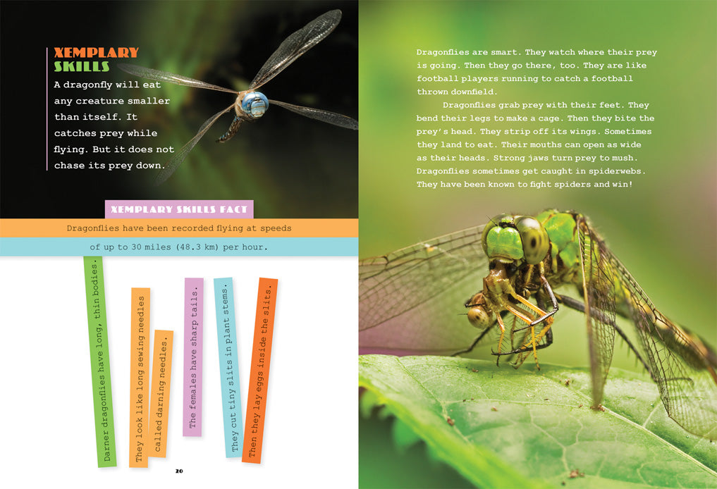 Dragonflies Book - ISBN 9781608189915 - Explore Nature & Science for Kids & Adults - Perfect for Reading, Learning & Gifts