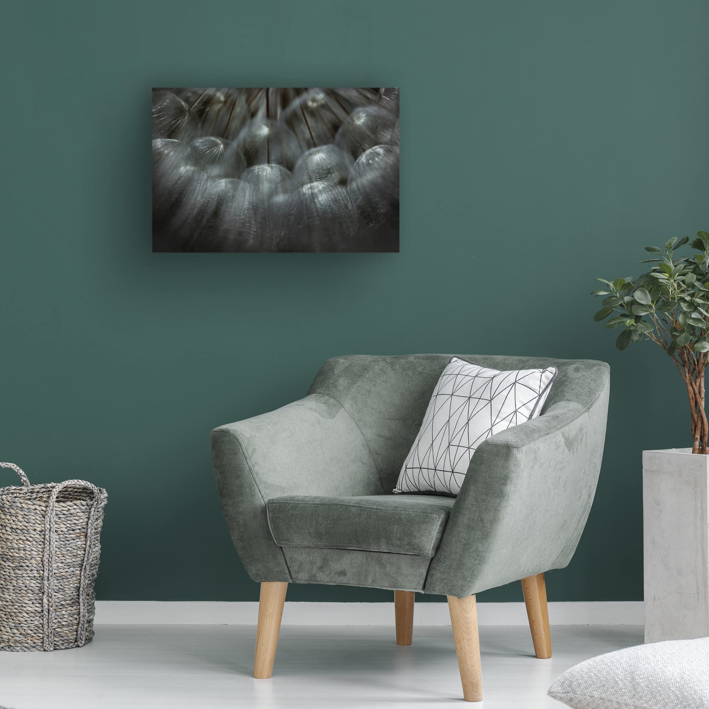 Trademark Fine Art 'Soffione' Canvas Wall Art by Antonio Grambone - Elegant Home Decor for Living Room, Bedroom & Office