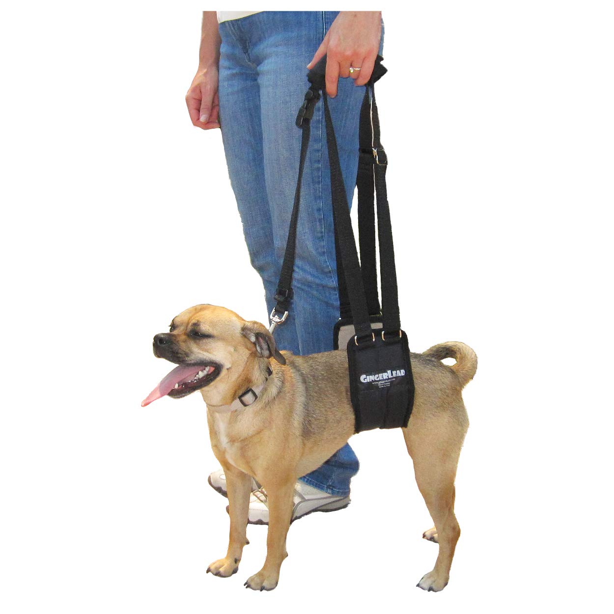 Premium Dog Sling Support Harness for Small to Medium Dogs (20-50 lbs) - Padded Rear Lifting Aid with Leash Attachment - Ideal for Barrel-Chested Breeds Like Boxers & Bullies - Made in USA - Perfect for Elderly Dogs, Post-Surgery Recovery & Mobility Assistance
