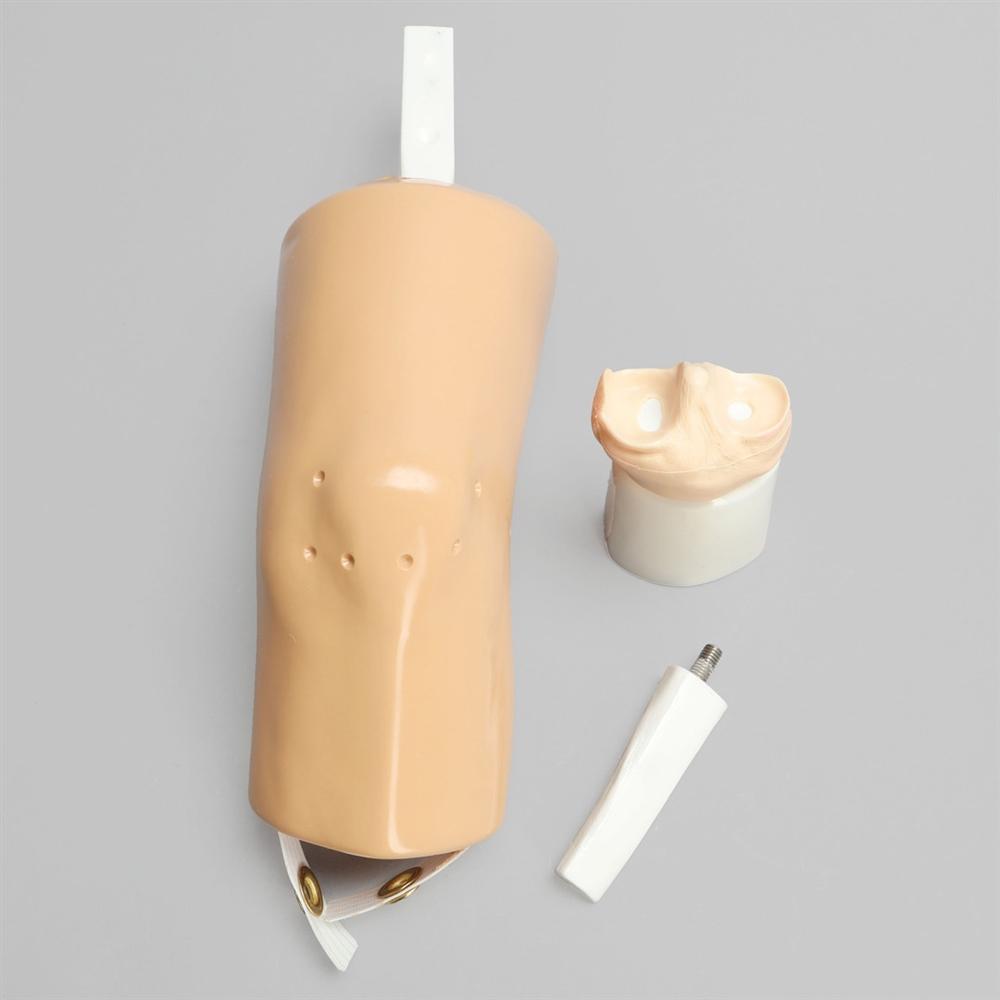 Dry Arthroscopy Knee Simulator - Medical Training Model for Orthopedic Surgeons | Practice Knee Surgery Techniques | Ideal for Medical Schools & Surgical Training Centers
