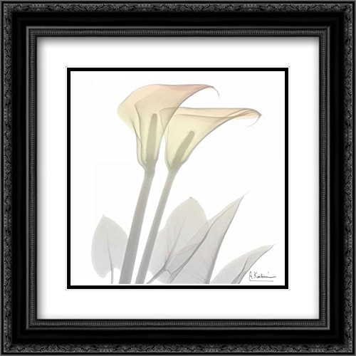 Albert Koetsier 15x15 Black Ornate Framed Double Matted Museum Art Print - Sunday Morning Calla Lily Wall Decor for Living Room, Bedroom & Office