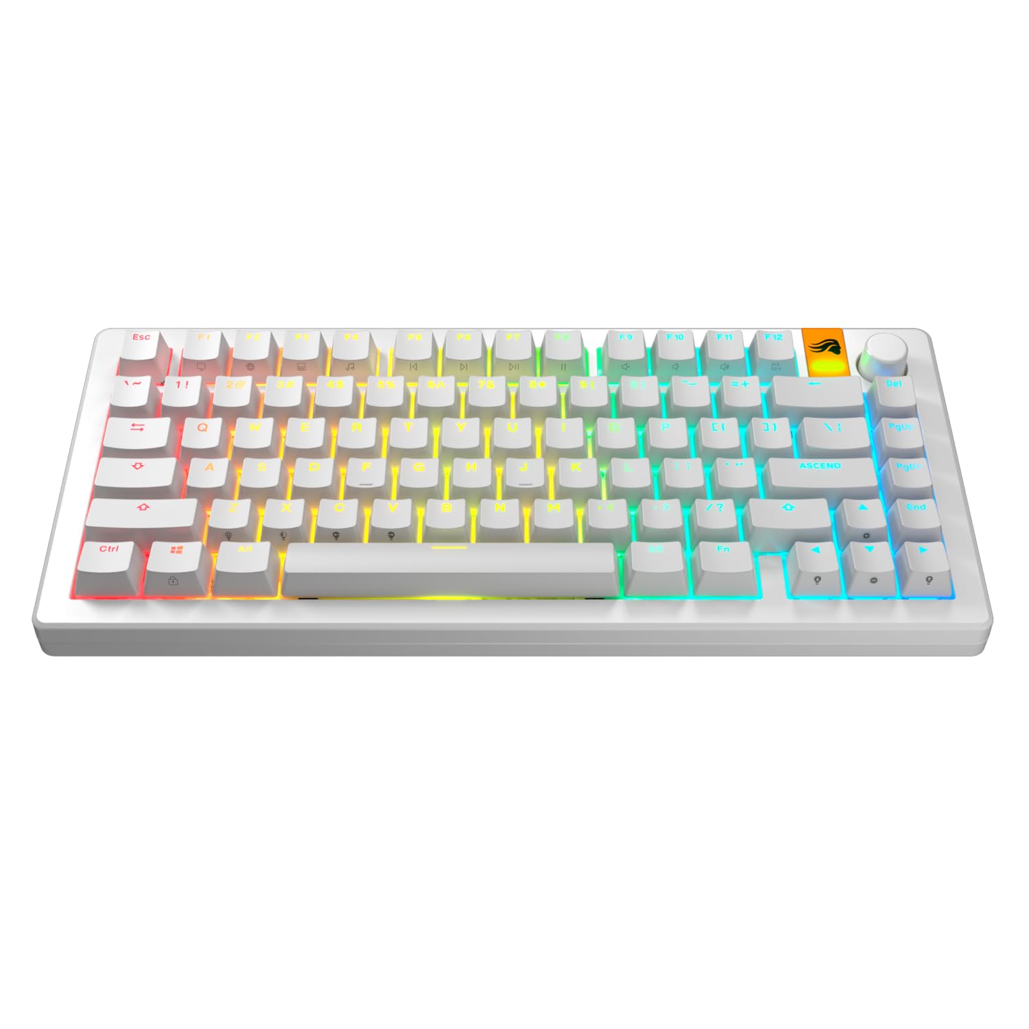 Glorious Gaming GPBT Shine-Through Keycaps - Translucent Symbols, Retro Backlit for Custom Mechanical Keyboards (100%, 75%, 65%, 60% Sizes) - ANSI/ISO Compatible, QWERTY Layout for Windows & MacOS - Perfect for Gaming, Typing & RGB Enthusiasts